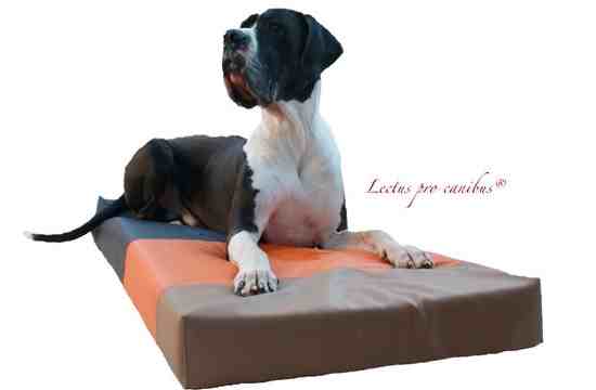 trinkflaschen fr hunde Springland Pets Travel Bottle Edelstahl, White. Trinkflasche fr Hunde